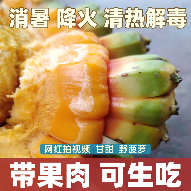 【带果肉 可生吃】野菠萝新鲜整果 中药材煲汤消暑 纯野生 网红果