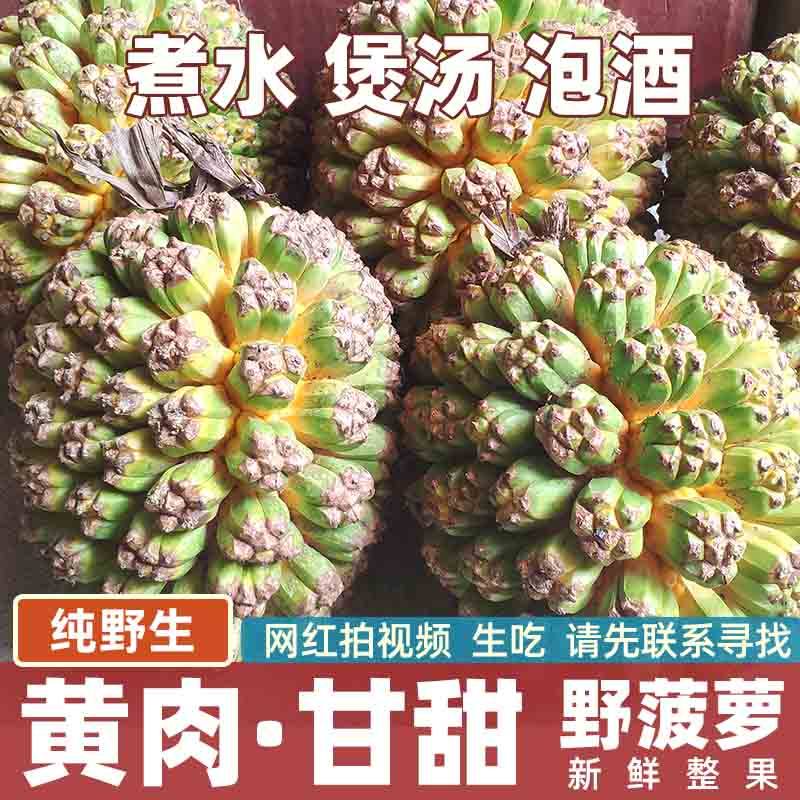 【黄肉甘甜】山野菠萝新鲜整果 中药材煮水煲汤泡酒 纯野生 消暑