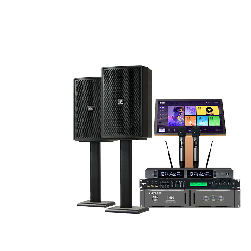 美国LROSS ES12家庭KTV音响套装卡拉ok唱歌全套K歌前导向音箱商用