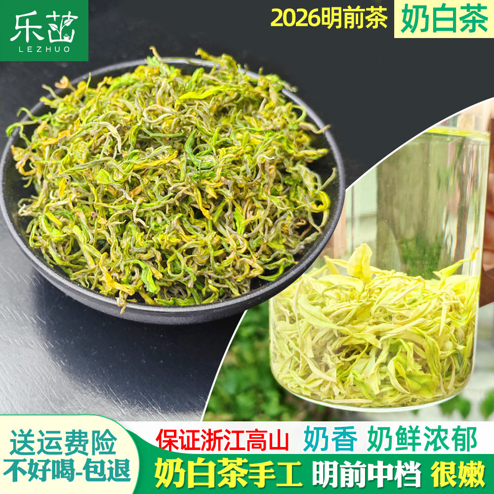 奶白茶手工 奶香奶鲜【明前中档-金奖惠明茶】2026年新茶景宁白茶