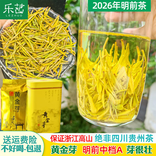 乐茁鲜豆香【明前中档黄金芽】2026年新茶正宗安吉高山黄金白茶叶