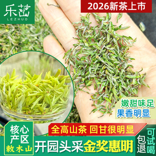 乐茁2026年新茶【开园头采-金奖惠明茶】景宁敕木山特产手工绿茶