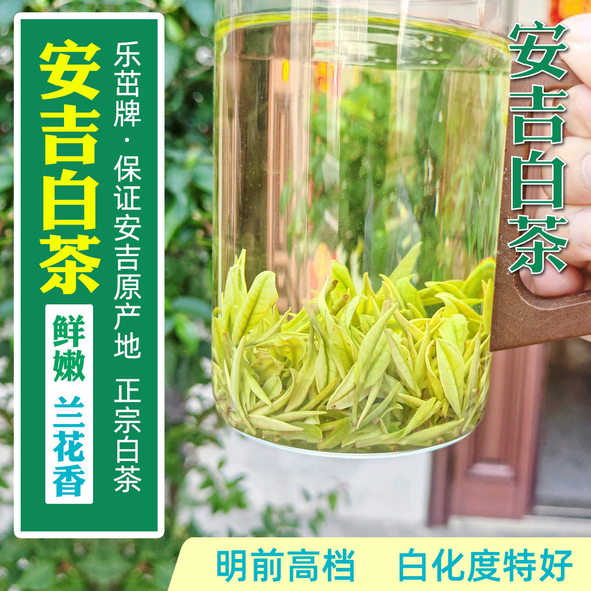乐茁【明前高档 安吉白茶】鲜嫩兰花香-2026新茶正宗珍稀白茶绿茶