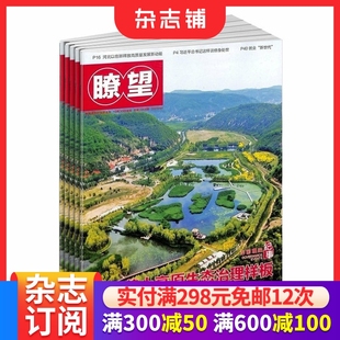 2026年1月起订 重大时政新闻权威报道 1年共52期 政治经济文化社会领域 政经焦点话题深度阐释 杂志铺 瞭望新闻周刊杂志