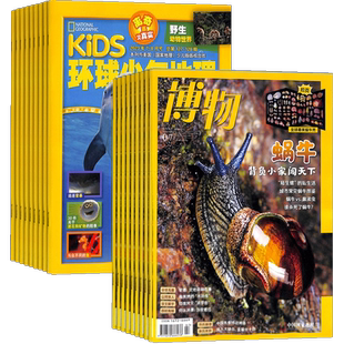 博物+环球少年地理KiDS两刊组合 2026年4月起订 1年共24期 杂志铺青少年版科普百科国家地理益智期刊