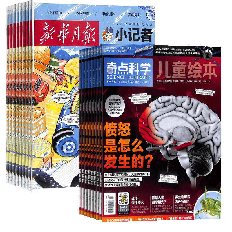 奇点科学+小记者杂志组合