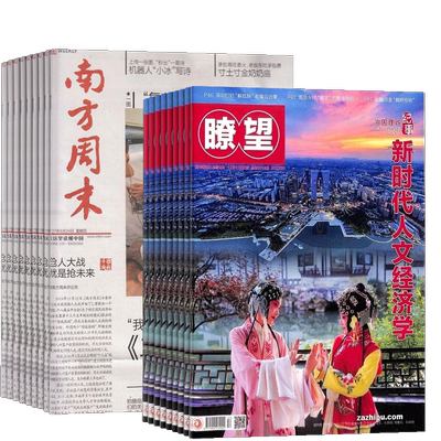 瞭望新闻周刊+南方周末杂志组合