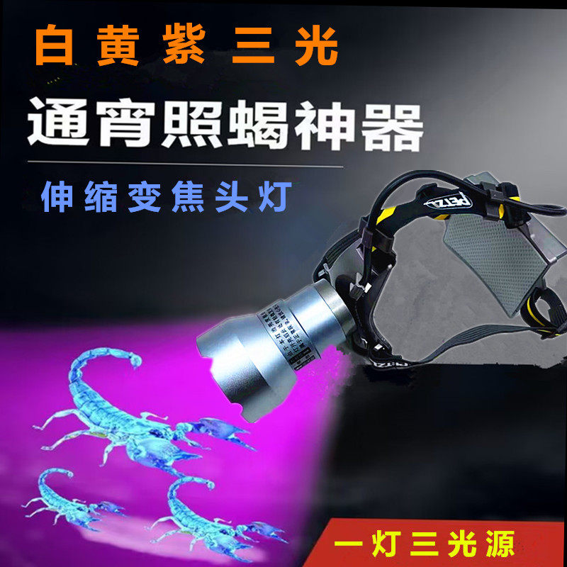 紫光蝎子灯豆虫灯一灯三光源头戴灯充电伸缩调焦散光聚光白黄紫光