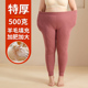 打底裤 东北抗寒胖mm特厚大码 女内穿高腰加绒加厚秋冬季 羊毛保暖裤