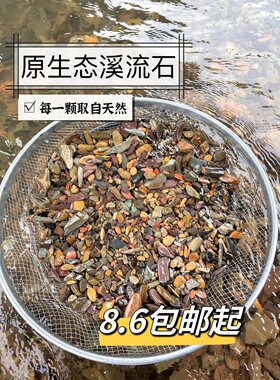 原生鱼龟沙子溪流雷龙天然造景