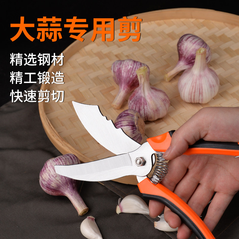 剪蒜剪刀大蒜专用剪刀剪蒜头神器蒜剪子大蒜铡刀剪蒜器大蒜杆剪刀