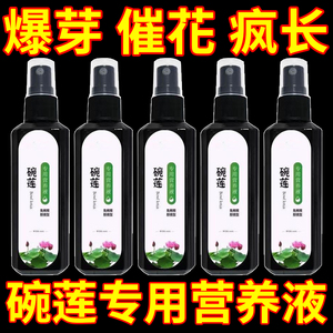 碗莲专用营养液荷花睡莲养花肥料水培观赏花卉植物生根肥