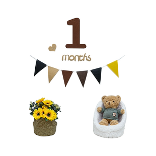 ins森系宝宝生日满月百天纪念毛毡数字 背景墙气球装饰布置拍照