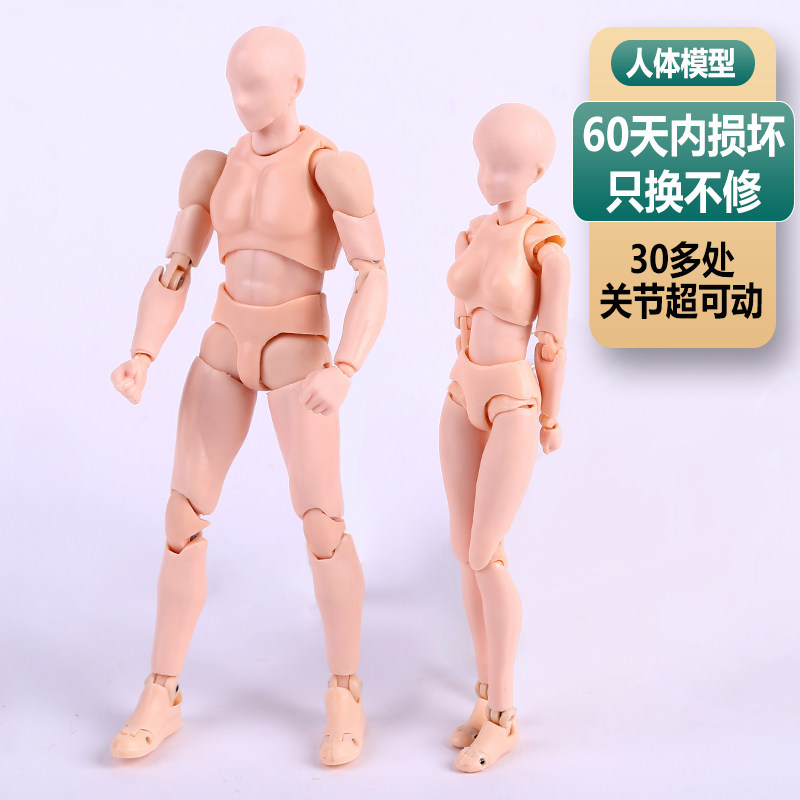 关节人偶人体模型 价格 怎么样 图片