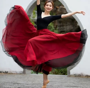 灯火的中国舞蹈服上衣黑色万疆演出服成人新款舞蹈服中袖修身衣服