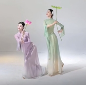 采莲舞蹈服装 古典舞纱衣练功服艺考入莲间表演服 成人舞台飘逸套装