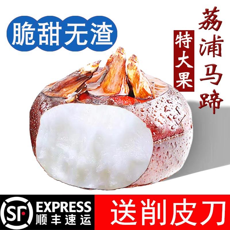特大果　脆甜荔浦马蹄顺丰速发