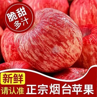 包郵 現摘整箱新鮮水果脆甜 水果 山東煙臺棲霞紅富士蘋果新鮮應季