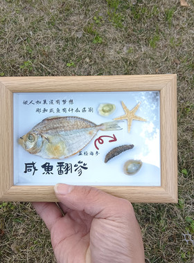 天然海螺贝壳相框咸鱼翻身相册摆件文创礼品伴手礼家居装饰品