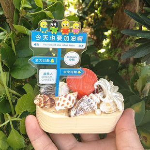 天然海螺贝壳木制底座小摆台海岛礼品纪念品励志个性摆件桌面装饰