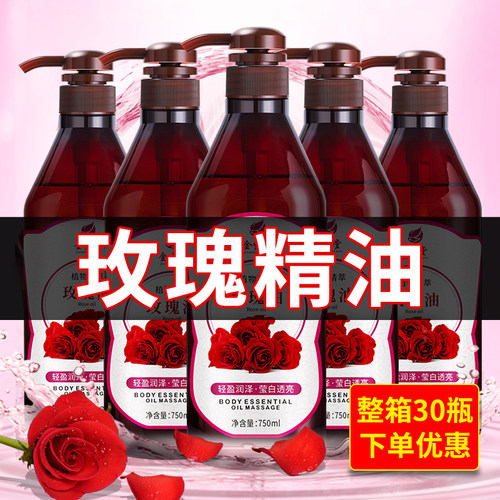 玫瑰精油身体按摩油全身通经络