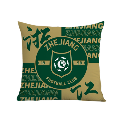 浙江职业足球俱乐部抱枕靠垫