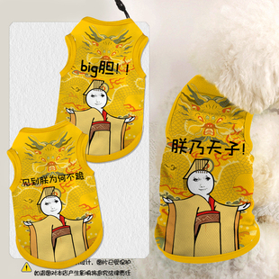 见到朕为何不跪表情包恶搞天子宠物衣服猫咪狗狗背心防掉毛大中小