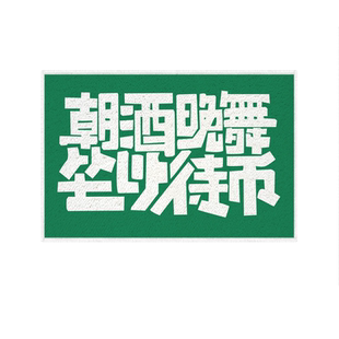 爱因斯坦毯懒得动毯个性创意仿羊绒硅藻泥地垫玄关入户进门口脚垫