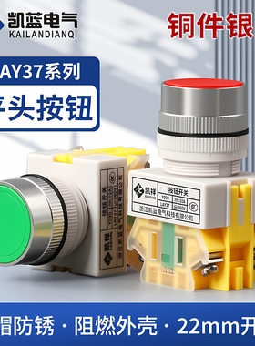 自复位/自锁按钮开关 LAY37-11BN 平头按钮Ф22MM Y090常开常闭