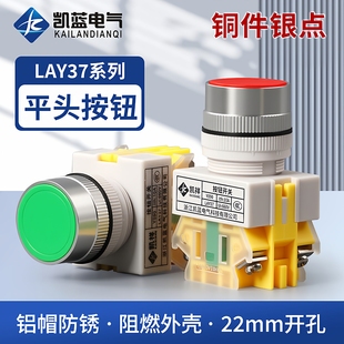 平头按钮Ф22MM 自复位 11BN LAY37 Y090常开常闭 自锁按钮开关