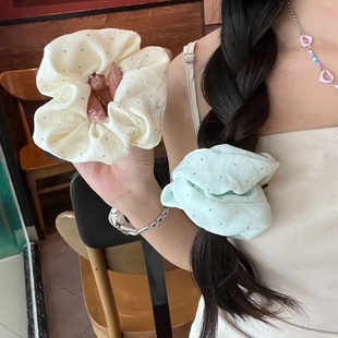 满天星大肠发圈女2025新款高级感夏天侧马尾头绳韩系温柔头花发饰