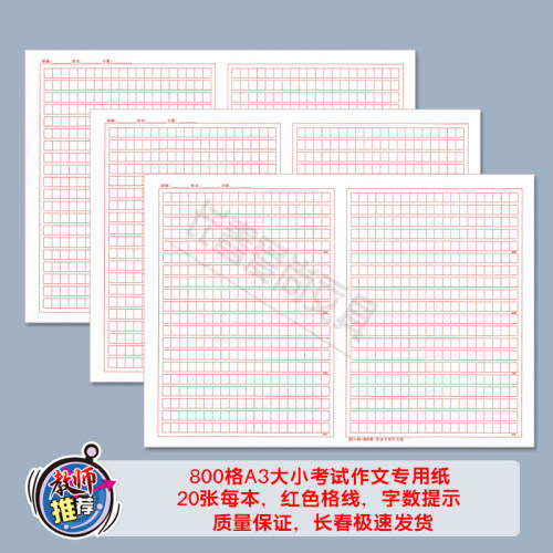 800格中高考作文纸模拟考试作文
