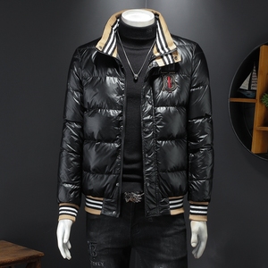 冬装立领羽绒服男  90白鸭绒 D302--2809P280图片