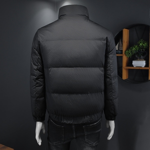 冬装男士羽绒服   90绒  W037P300图片