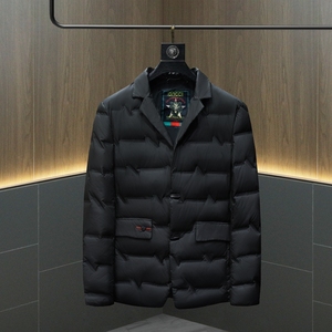冬装西装羽绒服男 90白鸭绒 D302--28035P270图片