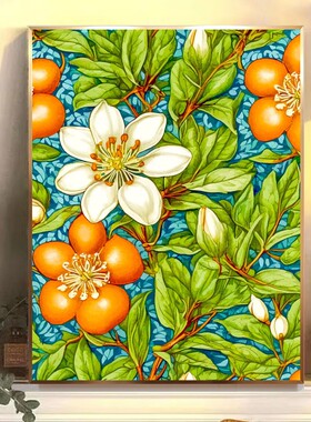 清新花朵系列1数字油画DIY手绘丙烯油彩治愈装饰画喷绘打印成品画
