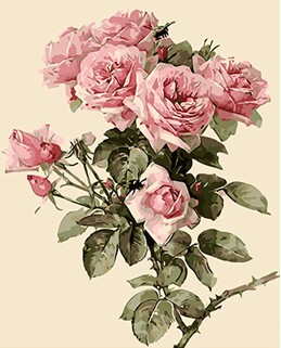 diy数字手绘填色花卉客厅油彩画
