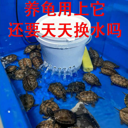 康卿龟用过滤器低水位小号白色