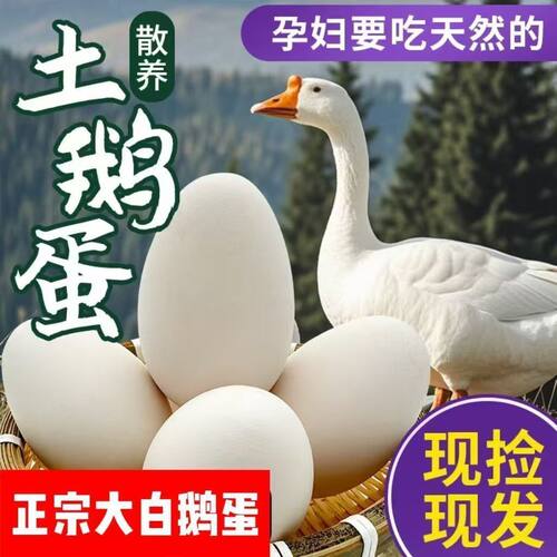 正宗农家散养大白鹅蛋新鲜现捡现发孕妇宝宝辅食