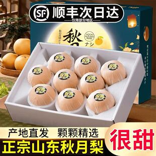正宗莱阳秋月梨礼盒新鲜水果梨子，中秋送礼佳品，顺丰次日达