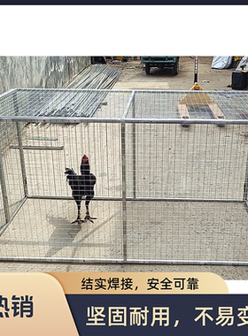 新款鸡斗鸡笼子铁笼折叠大号