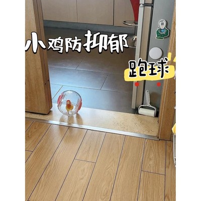 鹦鹉玩具创意小鸟防抑郁跑球小鸡