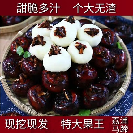 广西荔浦马蹄荔浦荸荠水果新鲜现挖即食脆甜多汁化渣农家种植包邮