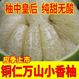 铜仁万山正宗香柚贵州土特产应季时令水果老树柚子孕妇水果白心柚