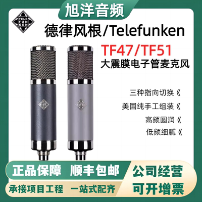 TELEFUNKEN/德律风根电子管话筒