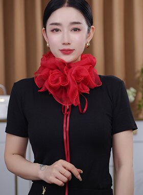 2026秋季新款网纱蝴蝶围巾女系带围脖旅行拍照外搭假领子丝巾围脖