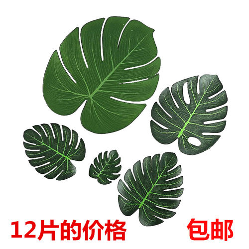 仿真龟背叶龟背竹无杆花风格北欧