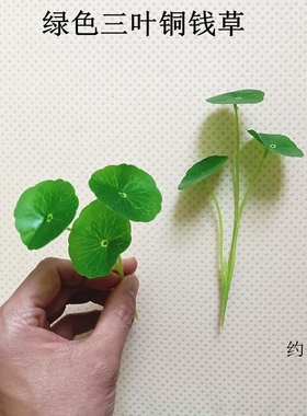 仿真3头铜钱草铜钱叶金钱草金钱叶桌面绿色小盆栽仿真小荷叶摆件