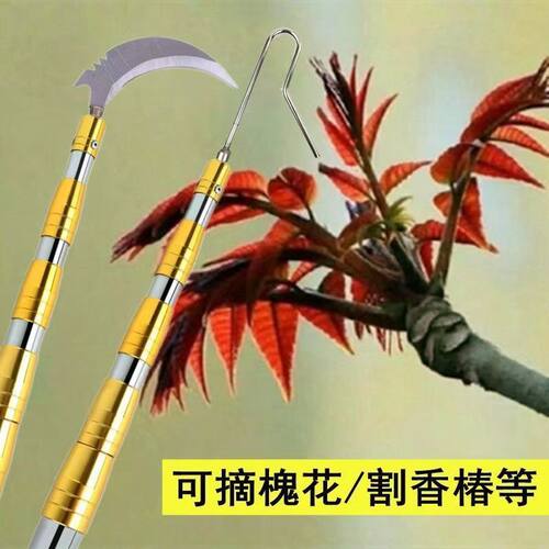 不锈钢伸缩杆香椿钩镰刀