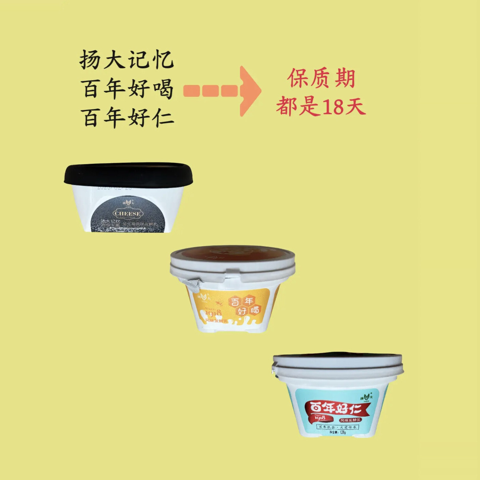 扬大酸奶扬州大学酸奶扬大牛奶扬大记忆新鲜干酪芝士奶酪顺丰包邮
